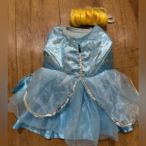 Size Large Cinderella Dog Costume with wig.